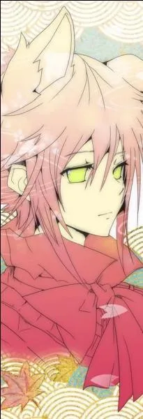 Homme, ou femme ? On ne sait pas distinguer chez lui. Amoureux du chocolat et d'autres sucreries, il aime s'amuser et amuser les autres.