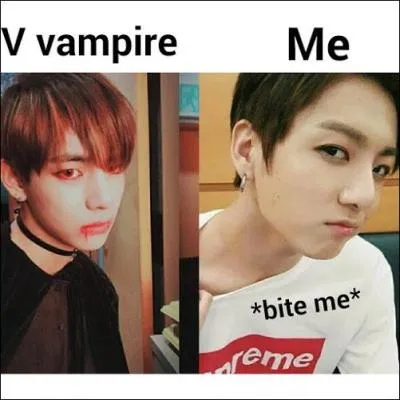 Comment s'appellent leurs fans ?