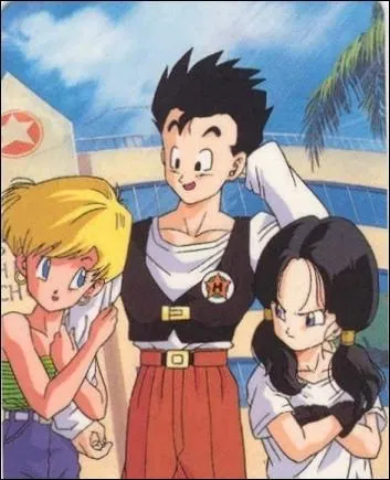 Quel âge a Gohan lorsqu'il rencontre Videl ? (un peu de réflexion, s'il vous plaît ! )