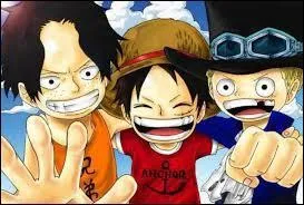 Quels sont les frères de Luffy ?