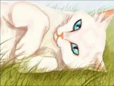 Comment est morte la sœur d'Etoile Bleue, Pelage de Neige ?