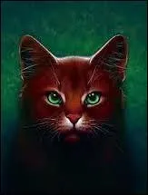 Qui est le compagnon d'Etoile Bleue ?