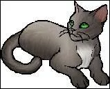 De qui Etoile Bleue a-t-elle brisé le cœur ?