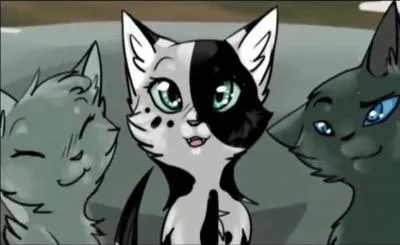 Comment s'appellent les chatons d'Etoile Bleue ?