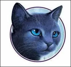 Comment Etoile Bleue a-t-elle perdu sa dernière vie ?