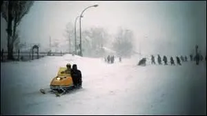 Que font-ils au juste ?