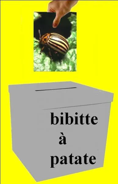 L'image est-elle dans la bonne boite ?