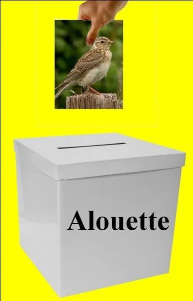 L'image est-elle dans la bonne boite ?