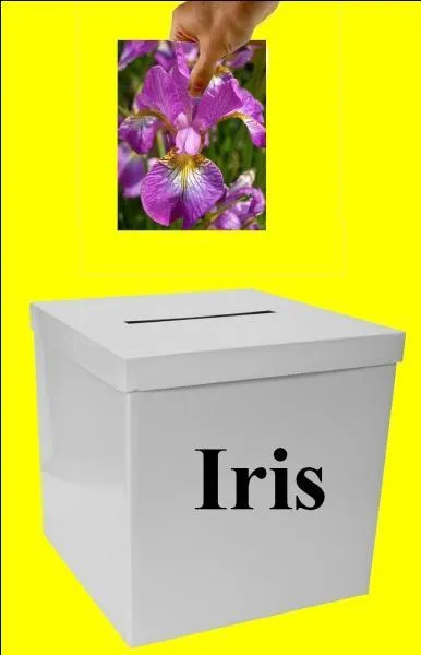 L'image est-elle dans la bonne boite ?