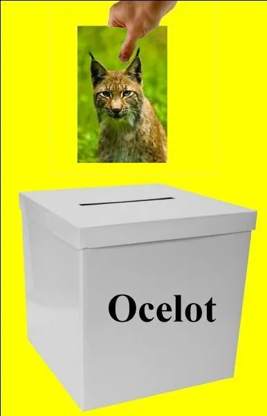 L'image est-elle dans la bonne boite ?