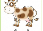 Quiz Questions vaches !