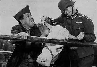 Quel est le nom de cette vache ?