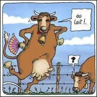 C'est elle qui vous pose la question : "C'est quoi le pays d'où que je viens" ?