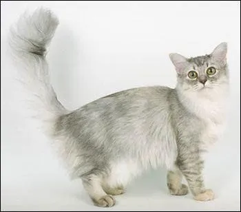 Prêtre qui dessert une chapelle privée :