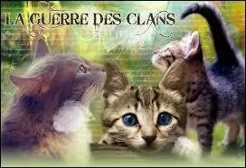 Comment est morte la soeur d'Étoile Bleue (hors série) ?