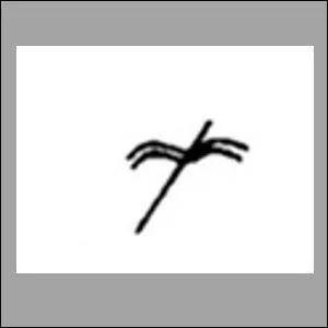 Cette trace signale un habitant masculin, avec une particularité. Laquelle ?