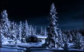 Quelle est la saveur des nuits d'hiver ?