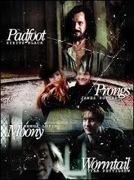 Complétez cette phrase avec les mots manquants : "J'ai empêché (...) et le professeur (...) de tuer (...)."