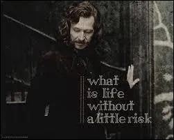 Qui a aidé Sirius à acheter l'Éclair de Feu ?