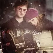 Quand ils arrivèrent près de l'infirmerie, ils entendirent des voix. À qui appartiennent-elles ?