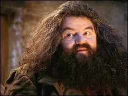 Le mouchoir d'Hagrid fait la taille d'une nappe.