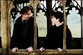 Alors que Lupin discutait avec Harry, un professeur frappa à la porte. Quel est son nom ?