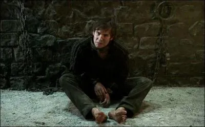 Pourquoi Nostradamus quitte-t-il la cour ?