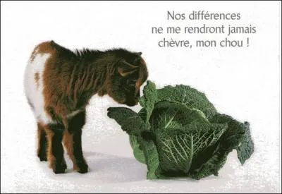 Traitez la réponse avec égards et diplomatie !