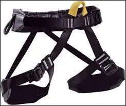 Comment s'appelle la partie jaune sur ce baudrier ?