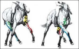 Cochez la(les) réponse(s) juste(s) :