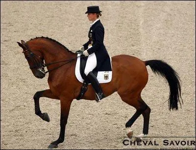 Que développe-t-on sur l'axe horizontal ?