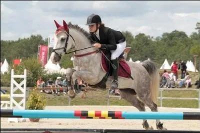 Lequel de ces obstacles est un large ?