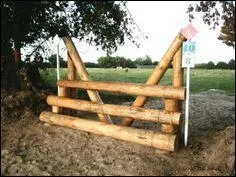 Quel est le nom de cet obstacle ?