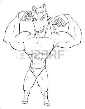 Citez les trois catégories de muscles :