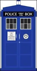 Comment le docteur appelle-t-il son TARDIS quand ils sont seuls ?