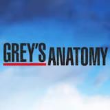 Quiz Grey s anatomy