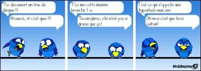 Figure de style de la langue française - À quoi sert l'hyperbole ?