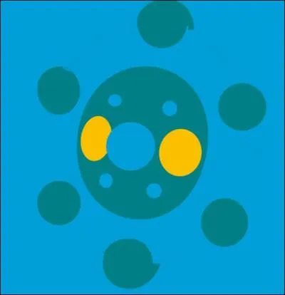 Quel est ce Pokémon ?