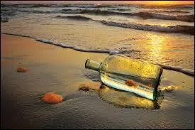 Que fait le chanteur ?