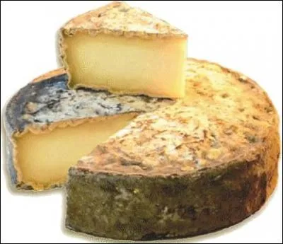 De quelle région vient la tomme des Bauges ?