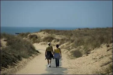 Ville de Vendée, sur la côte des fleurs :