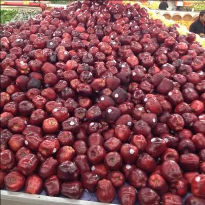 Y a t-il des films Disney pour les bébés ?