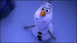 Olaf a pour nez :