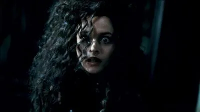 Alors que les autres sont emprisonnés dans la cave du manoir des Malefoy, quel message Bellatrix inscrit-elle sur le poignet d'Hermione ?