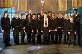 Finalement, que fait Harry avec la baguette de Sureau ?