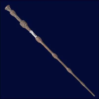 Comment appelle-t-on la plus puissante des baguettes ?