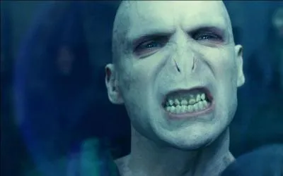 Comment appelle-t-on les partisans de Voldemort ?