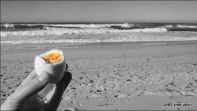 Quelle partie de l'oeuf contient le moins de calories ?