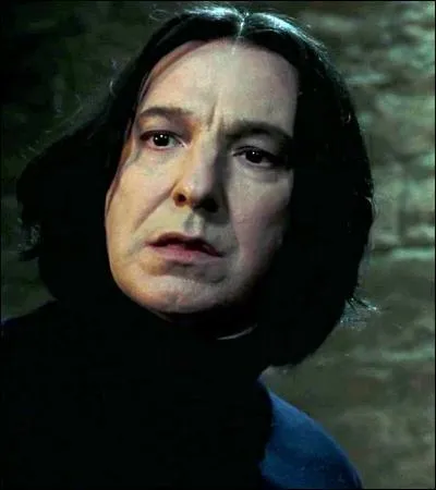 « Taisez-vous. Je ne vous ai rien demandé. Je voulais simplement mettre en lumière le manque d'organisation du professeur Lupin. »