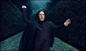 Lorsque Severus fit la connaissance de Lily, qui rencontra-t-il par la même occasion ?